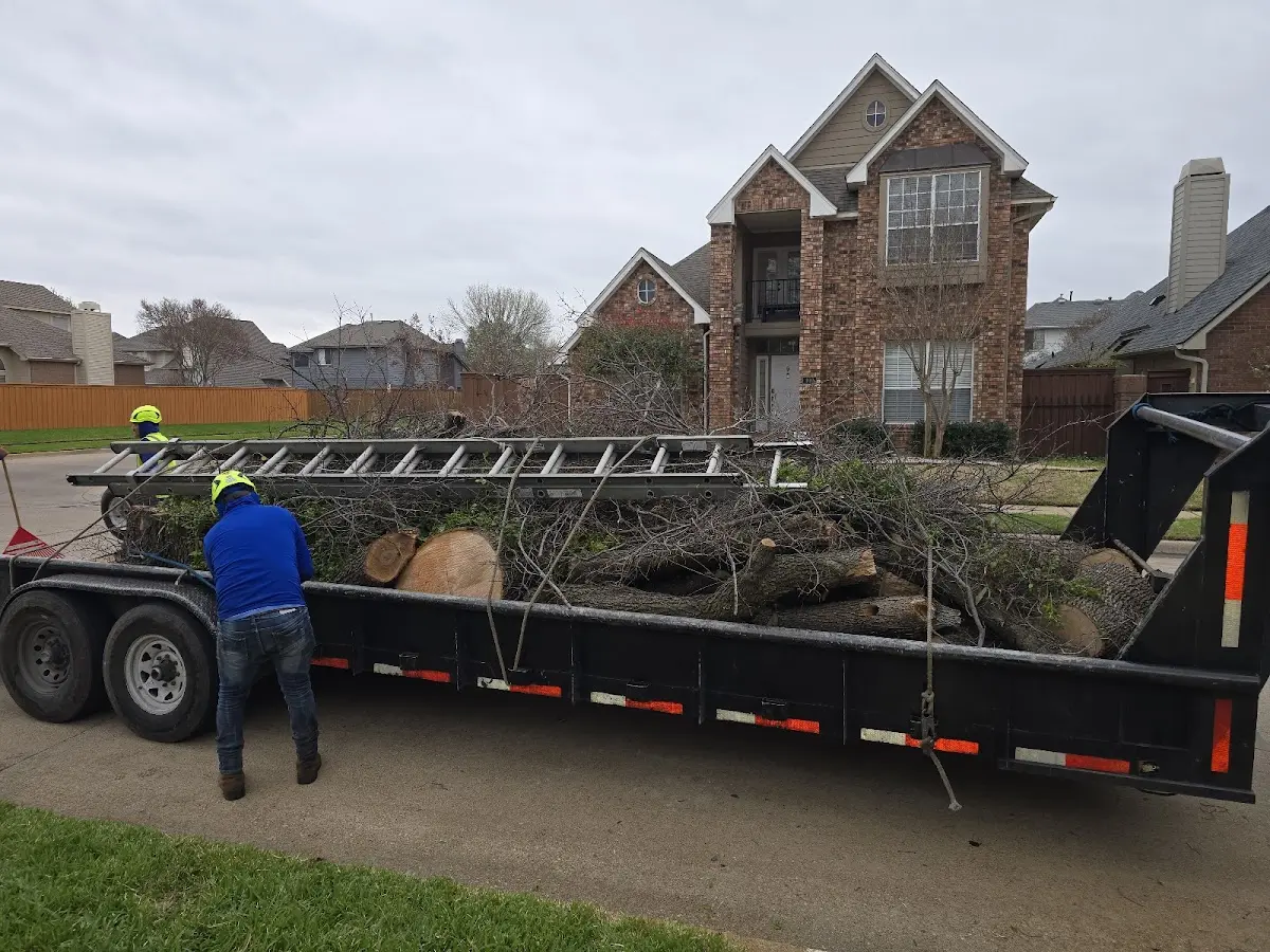 Expert Lot Clearing with proper safety equipment in Blanchester